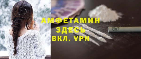 гидра Володарск