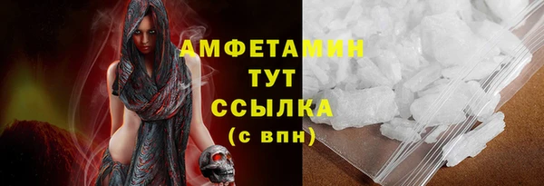 гидра Володарск