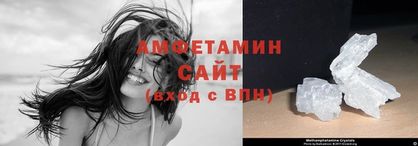 твердый Вяземский