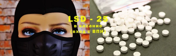 гидра Володарск