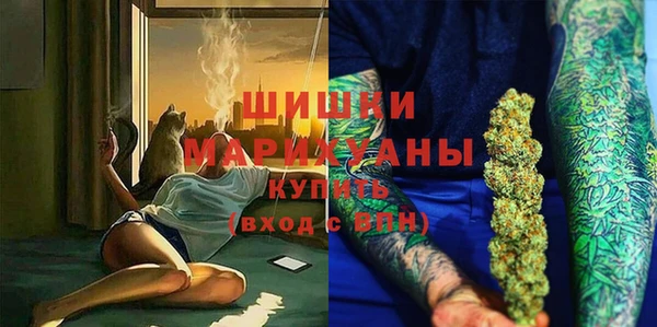 гидра Володарск