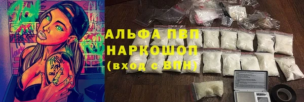 гидра Володарск