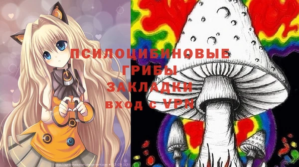 гидра Володарск